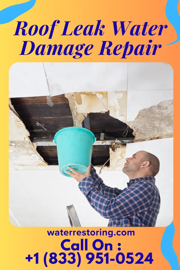 Roof Leak Water Damage Repair in Balfour, ND